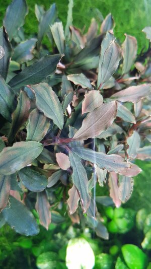 20171009_153956.jpg