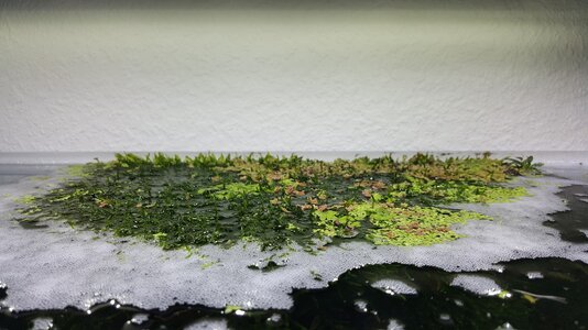 20171020_124833-2656x1494.jpg