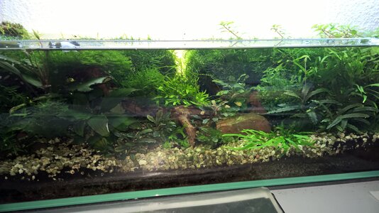 WP_20171101_20_14_39_Pro.jpg