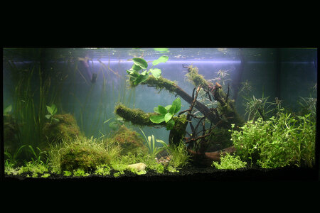 aquaTag2.jpg