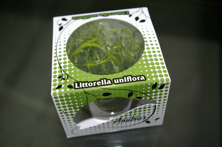 _IGP2308.JPG