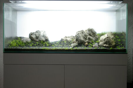 _IGP2314.JPG