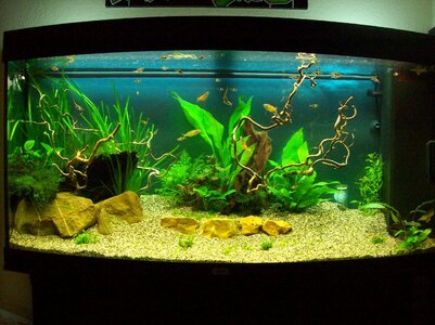 100_2871.JPG