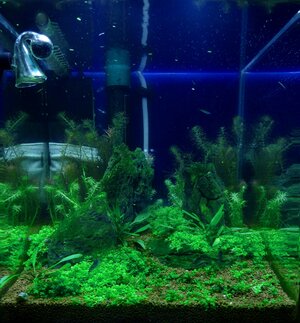 20l 23.06.10.jpg