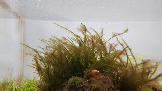 20171221_184047.jpg