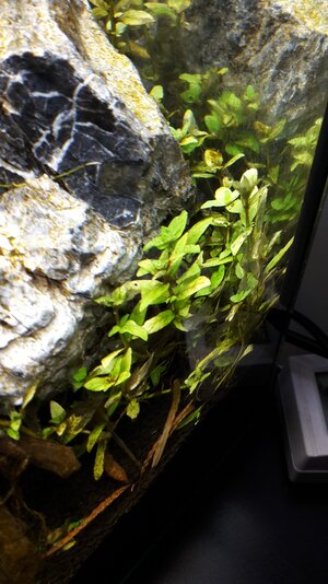 20180106_180700.jpg