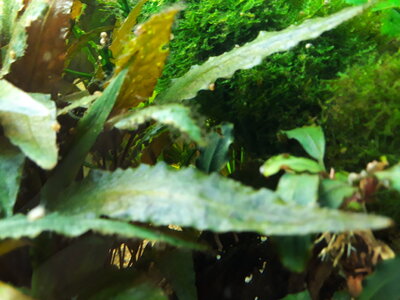 20180113_135611.jpg