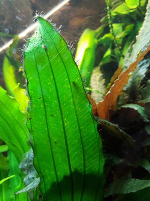 20180113_135626.jpg