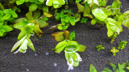 20180115_203233.jpg
