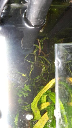 20180117_150515.jpg