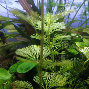 IMG_20180203_174204.jpg