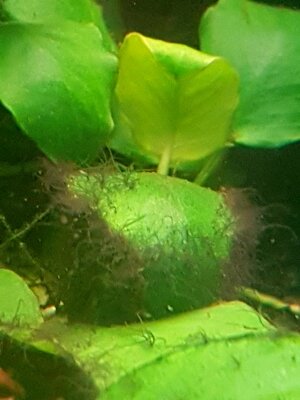 20180304_164616.jpg
