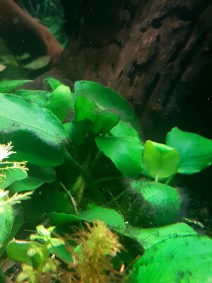 20180304_164627.jpg