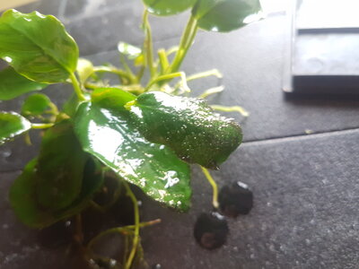 20180304_164731.jpg