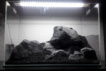 Hardscape.png