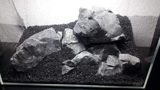20180305_230410.jpg