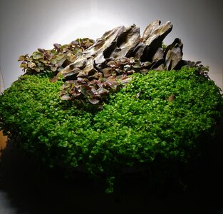 IMG_20180206_134449.jpg