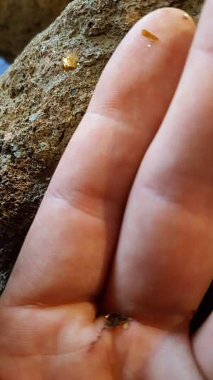 20180403_173953.jpg