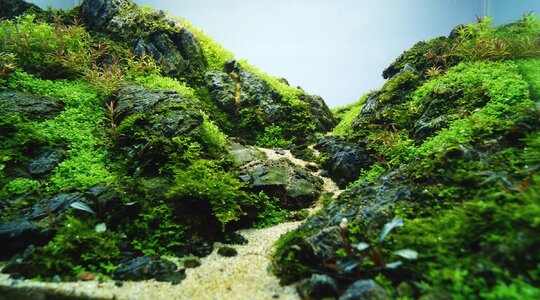 GKK_35l Nano_Contestpicture.Detail.3.JPG