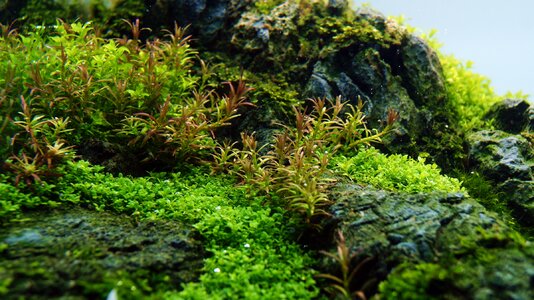 GKK_35l Nano_Contestpicture.Detail.1.JPG