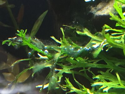 IMG_2651.jpg