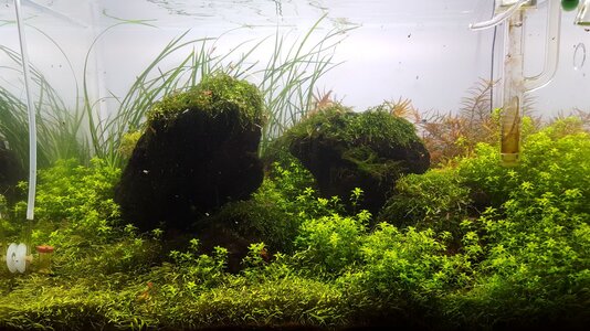 20180614_165056.jpg