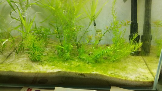 20180709_195606[1].jpg