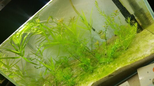 20180709_200718[1].jpg