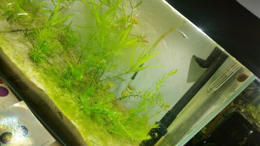 20180709_200744[1].jpg