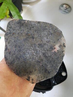 20180713_171120.jpg