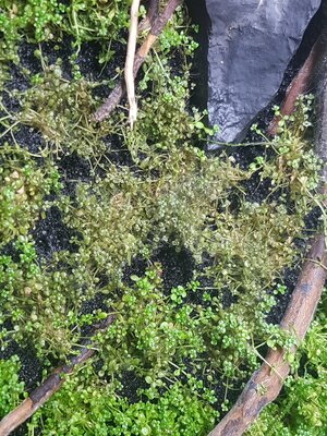 20180721_105220.jpg