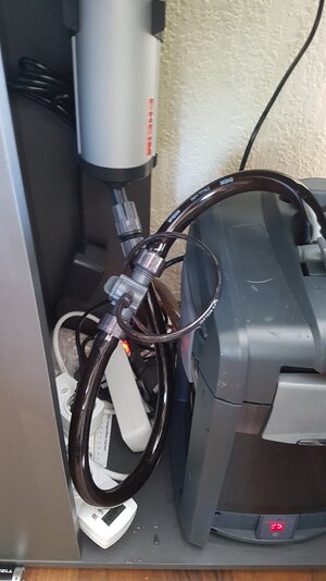 20180802_175131.jpg