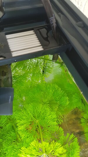 20180802_175341.jpg
