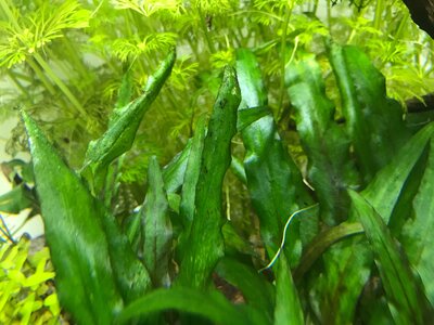 IMG_2820.JPG