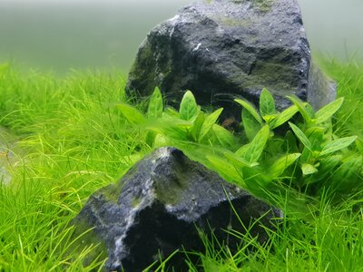 20180925_161050[1].jpg