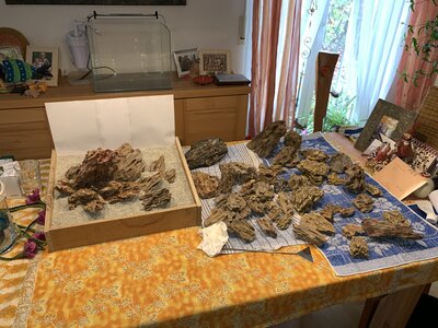 2018-11-10 Sandkasten im Überblick.jpg