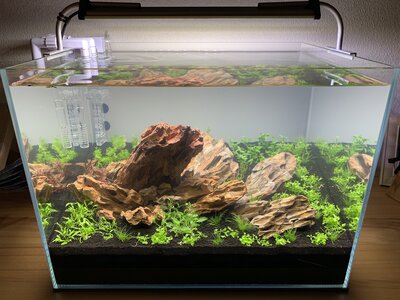 2018-11-26 AquaScape Ansicht von vorne mitte schräg oben.jpg
