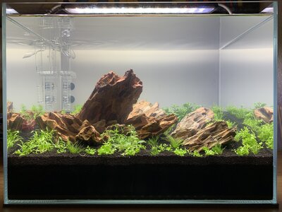 2018-11-26 AquaScape Ansicht von vorne mitte frontal.jpg