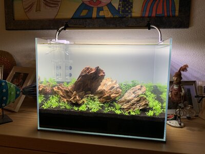 2018-11-26 AquaScape Ansicht Raumansicht nah.jpg