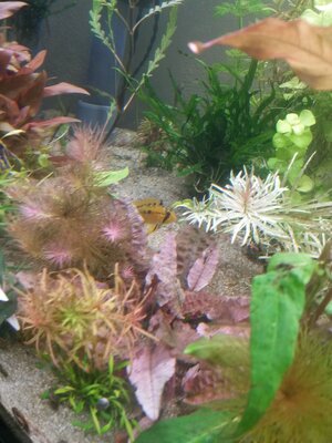 20181130_165326.jpeg