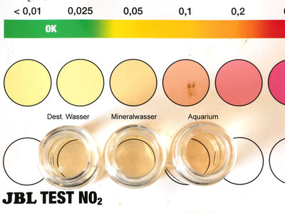 JBL NO2 Test geht nicht unter 0,05mg