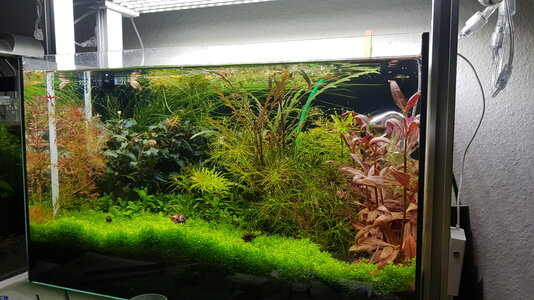 20190408_225618.jpg