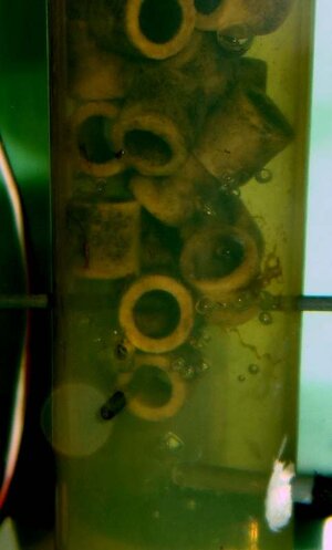 co2-3.jpg