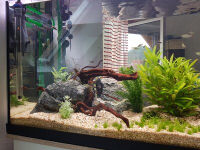 20190516_142239.jpg