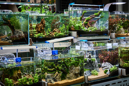 2019.05.21_05-20-07.jpg