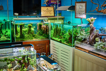 2019.05.21_05-20-35.jpg