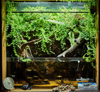 2019.05.21_05-24-58.jpg