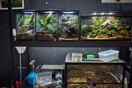 2019.05.21_05-25-24.jpg