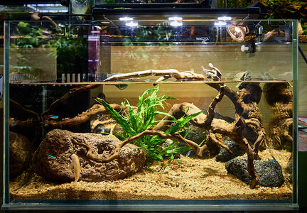 2019.05.21_05-25-47.jpg