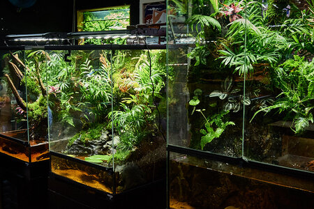 2019.05.21_05-26-29.jpg